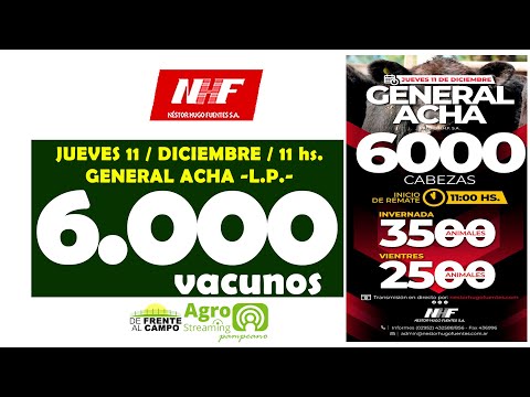 en VIVO  - 11 hs.  - REMATE de NÉSTOR HUGO FUENTES S.A. - JUEVES 11 / DIC. / 2025 -