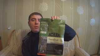 Чем кормить щенка джека рассела терьера