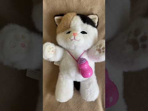 фото мягкая интерактивная игрушка котёнок (музыка, двигаются глазки, повторяет, волшебная бутылочка) 0