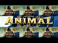 ANIMAL Official Teaser Ranbir Kapoor Rashmika M Anil K Bobby D Sandeep Reddy Filmositara