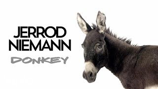 Jerrod Niemann - Donkey (Audio)