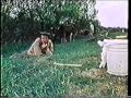 Чернобыль сегодня, 1993 г..mpg 