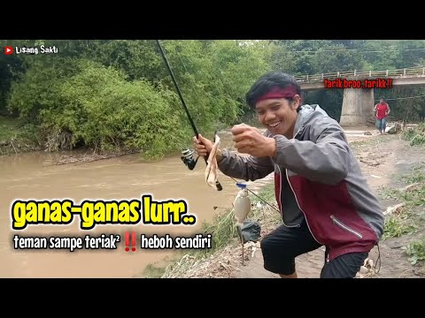 Mancing TAWES SIRIP MERAH Saat Air Keruh Ternyata Ganas-Ganas