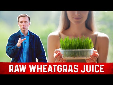 An APPLE a Day Will NOT Let Your Weight Go Away – Dr Berg