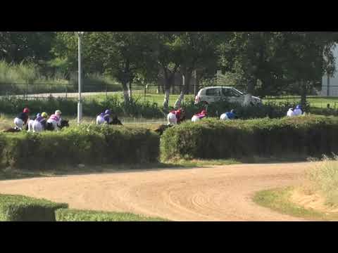 Trka "Trka grada Požarevca" 16.06.2019 KRIPTON - Cristian Gnesi