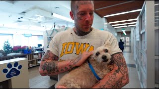 VLOG: Naz almost ruined christmas for @TomMacDonaldOfficial and I.