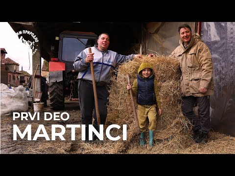 SASVIM PRIRODNO: Martinci 1. deo
