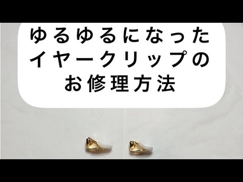 私たちの庭園の生態系におけるフォーフィキュラの役割は何ですか