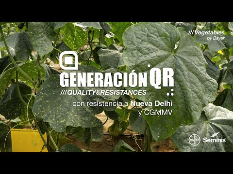 , title : 'Pepinos con resistencia a Nueva Delhi || Seminis Generación QR'