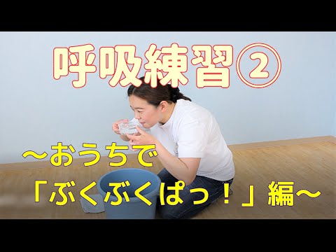 プールでの越冬：プールを大切にするために知っておくべきことすべて！  庭園