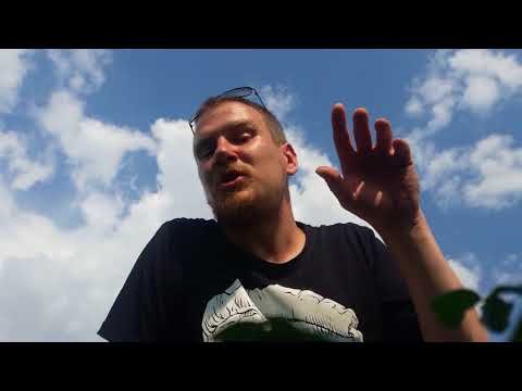 Životní fight: Břicho vs 100 dní