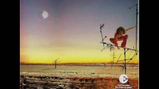 se acabo el baile-macaco