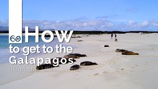 Get to your Galapagos Tour from Quito