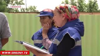 Сельхозперепись проходит под лозунгом «Село в порядке, страна в достатке!»