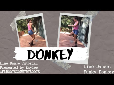 Donkey ~ Improver Line Dance Tutorial and Demo ~ Line Dance: Funky Donkey