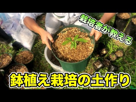粘土質の土壌に植える果樹はどれですか?いつ、どのように植えるのですか？  庭園