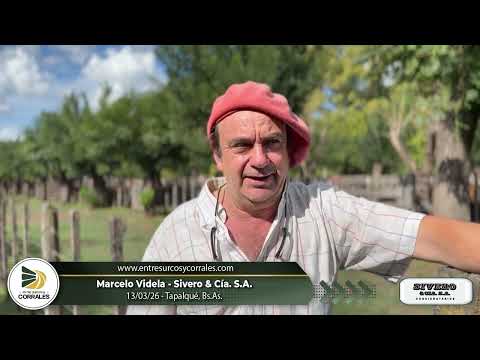 13-03-26 - Marcelo Videla - Sivero y Cía - Tapalqué, Bs.As.