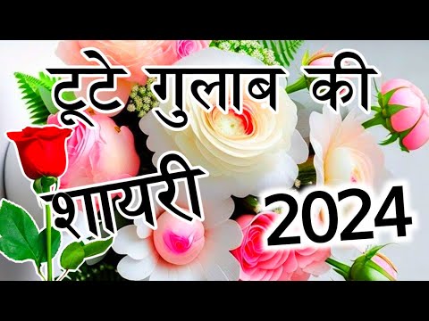 टूटे गुलाब की शायरी 2024 🌹 tute gulab ki dard bhari shayari 2024 🥀 best gulab shayari in Hindi
