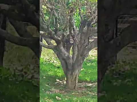 santa luzia do oeste Rondônia