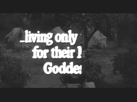 Thumbnail of the video: JUNGLE JIM TRAILER
