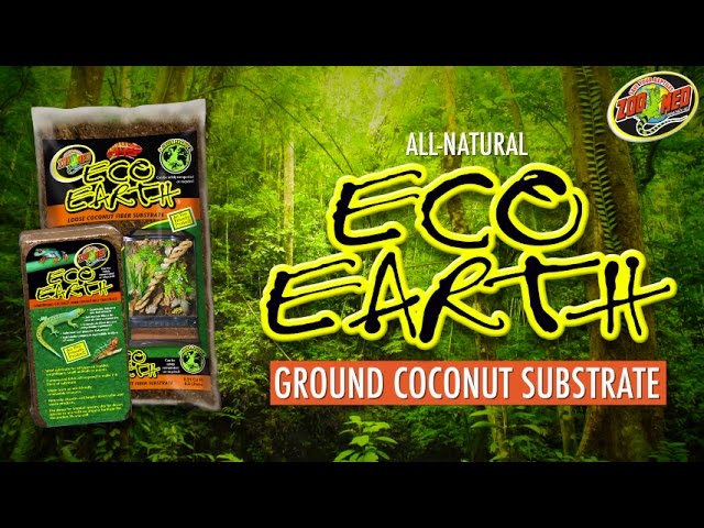 Vídeo relacionado con Zoo Med Eco Earth Compressed Coconut Fiber Expandable Substrate Reptiles 1 Brick