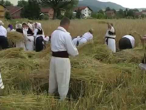 Žetva u Viteškom kraju