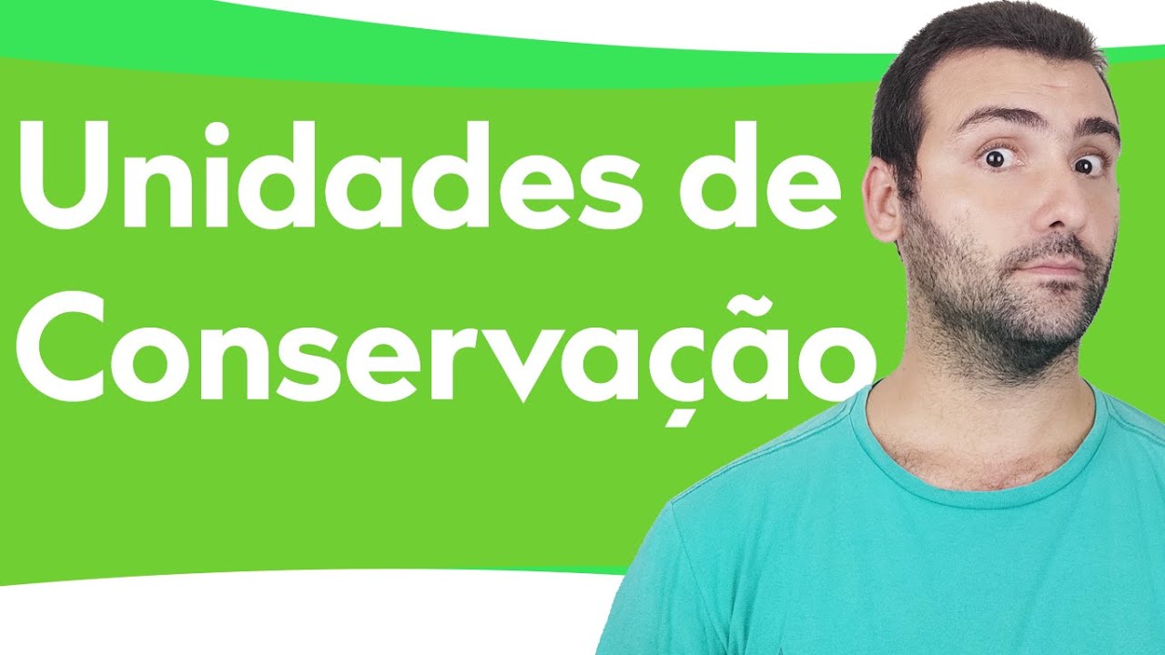 UNIDADES DE CONSERVAÇÃO (UC'S) - DESMATAMENTO, QUEIMADAS, CAÇA, QUESTÃO FUNDIÁRIA, FISCALIZAÇÃO