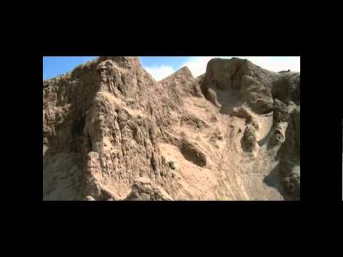 New world disorder 10