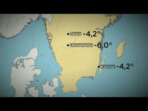 Ulrika Andersson om de låga majtemperaturerna på natten - Nyhetsmorgon (TV4)