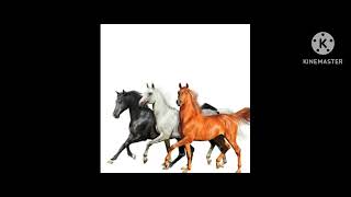 Old Town Road-Lil Nas X/Billy Ray Cyrus Diplo Remix (Kine Master Low Pitched)
