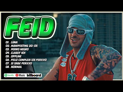 Feid Mix Éxitos 2024 - Lo Más Popular de Feid 2024