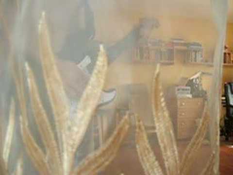 brzęczy brzęczyk brzęczyszczykiewicz..