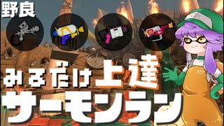 【野良】見るだけ上達サモラン！あけおめ🐎どんぴこ闘技場🐋カンスト295回【スプラトゥーン3/サーモンランNW】