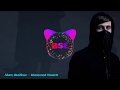 Alan Walker - Diamond Heart [1 hour audio spectrum]