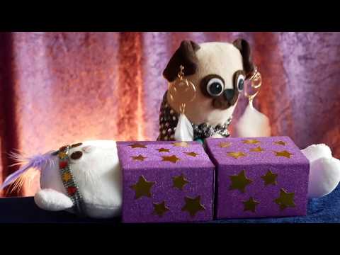 Amazing magic tricks performed by plushies!