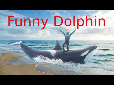 Dauphins étonnants - compilation de dauphins amusants