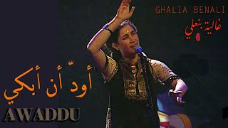 كلمات اغنية اود ان ابكي غالية بنعلي
