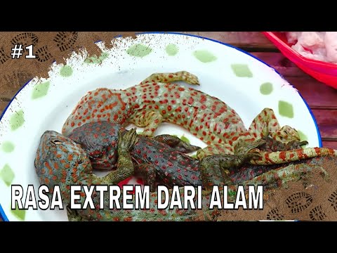 RASA EXTREM DARI ALAM | JEJAK PETUALANG (30/01/26) Part 1