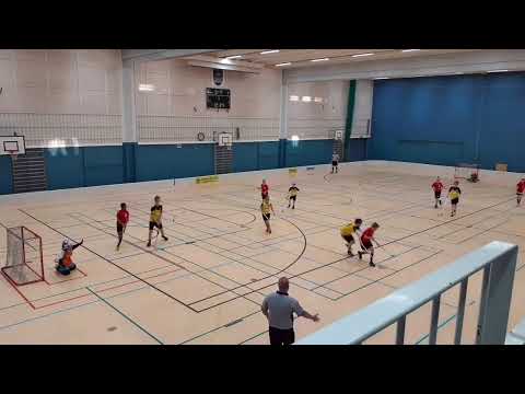 D2-pojat, PoNoVo Keltainen - Voima, 11.01.2020, Live