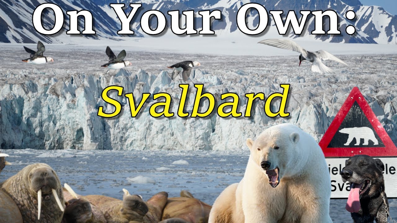 How to Visit Svalbard On Your Own