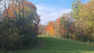 Self-Care, Exercising, and Resting for Check In. 'Walk with Me' in this video
