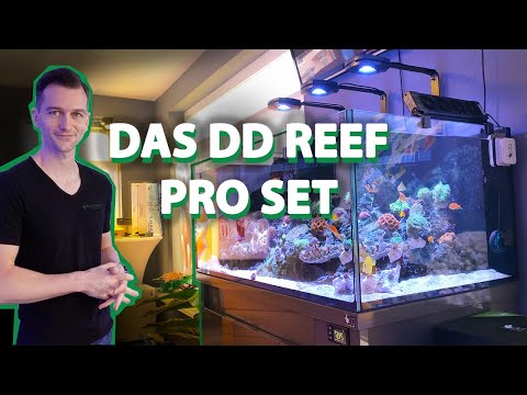 Our "D-D REEF PRO 1200 Aquarium" - 360 liter show tank SEAWATER AQUARIUM Set *also for beginners*