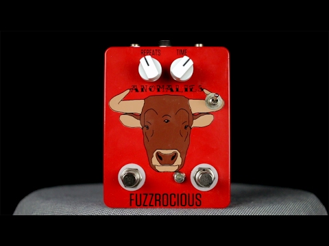 Fuzzrocious Anomalies Delay 2010s - Graphic image 8