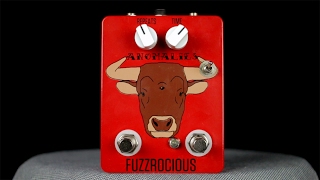 Video thumbnail for Fuzzrocious Anomalies [Bass Demo] by Patrick Hunter