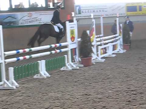 6jährige Stute v. Laudabilis x Ferragamo x Pilot