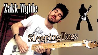 Sleeping Dogs - Solo Cover (Zakk Wylde)