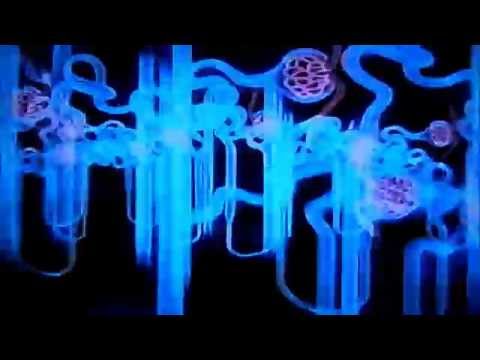 Hypertonie Beschwerden und Anamnese Grad 3 Hypertonie Gruppe und geben Sie nicht