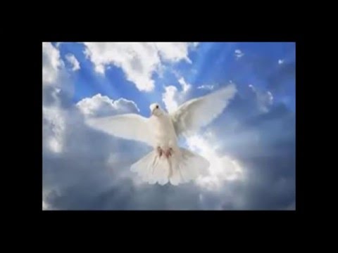 LA FUERZA DE LO ALTO - RAFAEL MORENO