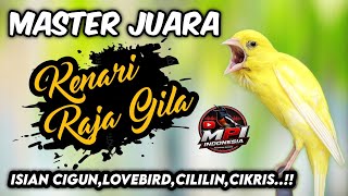 Download lagu MASTERAN KENARI ISIAN LOVEBIRD,CIGUN,CILILIN,CIBLEK❗ mp3 Download lagu MASTERAN KENARI ISIAN LOVEBIRD,CIGUN,CILILIN,CIBLEK❗ mp3