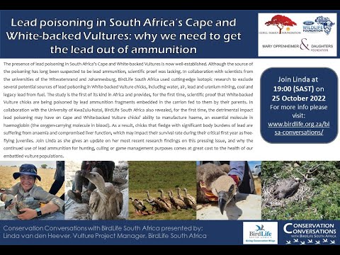Conservation Conversations: Lead poisoning in South Africa’s Vultures– Linda vd Heever (25Oct22)